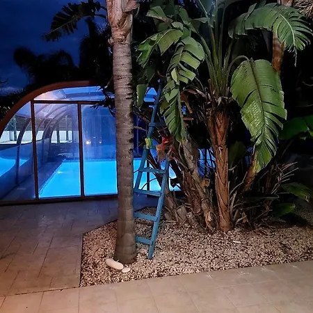 Danitsea Larnaka